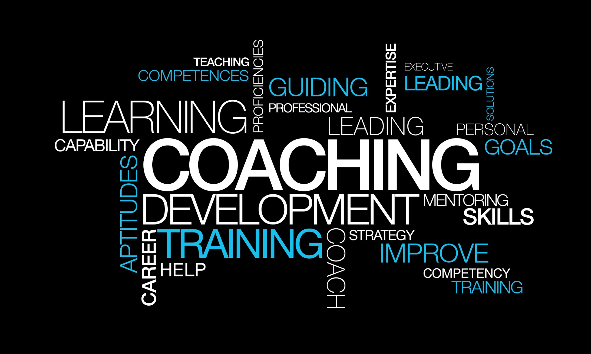 Training and workforce development